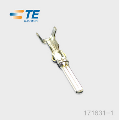 171631-1