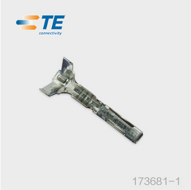 173681-1